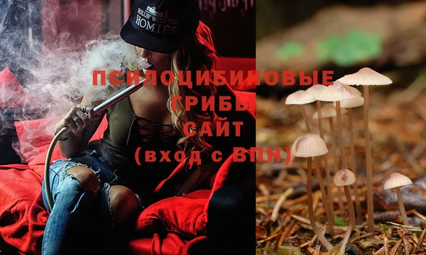 2c-b Магас