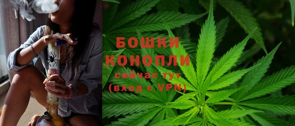 СК Магадан